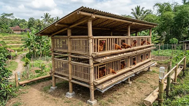 Desain Kandang Ayam dari Bambu yang Murah tapi Tetap Kokoh dan Tahan Lama/AI Generated