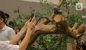 Cara Seseorang Memperlakukan Hewan Bisa Ungkap Karakternya