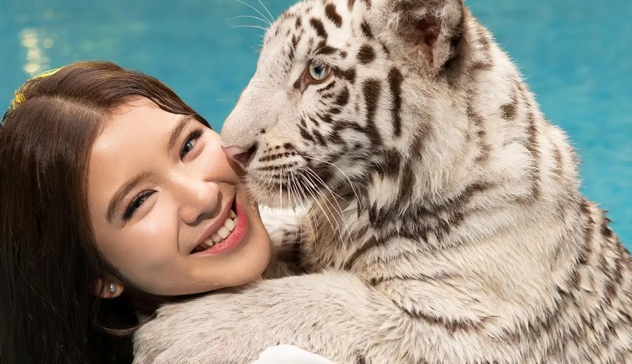 Meski harimau putih tersebut merupakan milik sang kekasih, akan tetapi Tiara Andini terlihat begitu santai saat harus menggendongnya. Bahkan, ia tak lupa untuk memberikan senyum manis ke kamera. (Liputan6.com/IG/@tiaraandini)