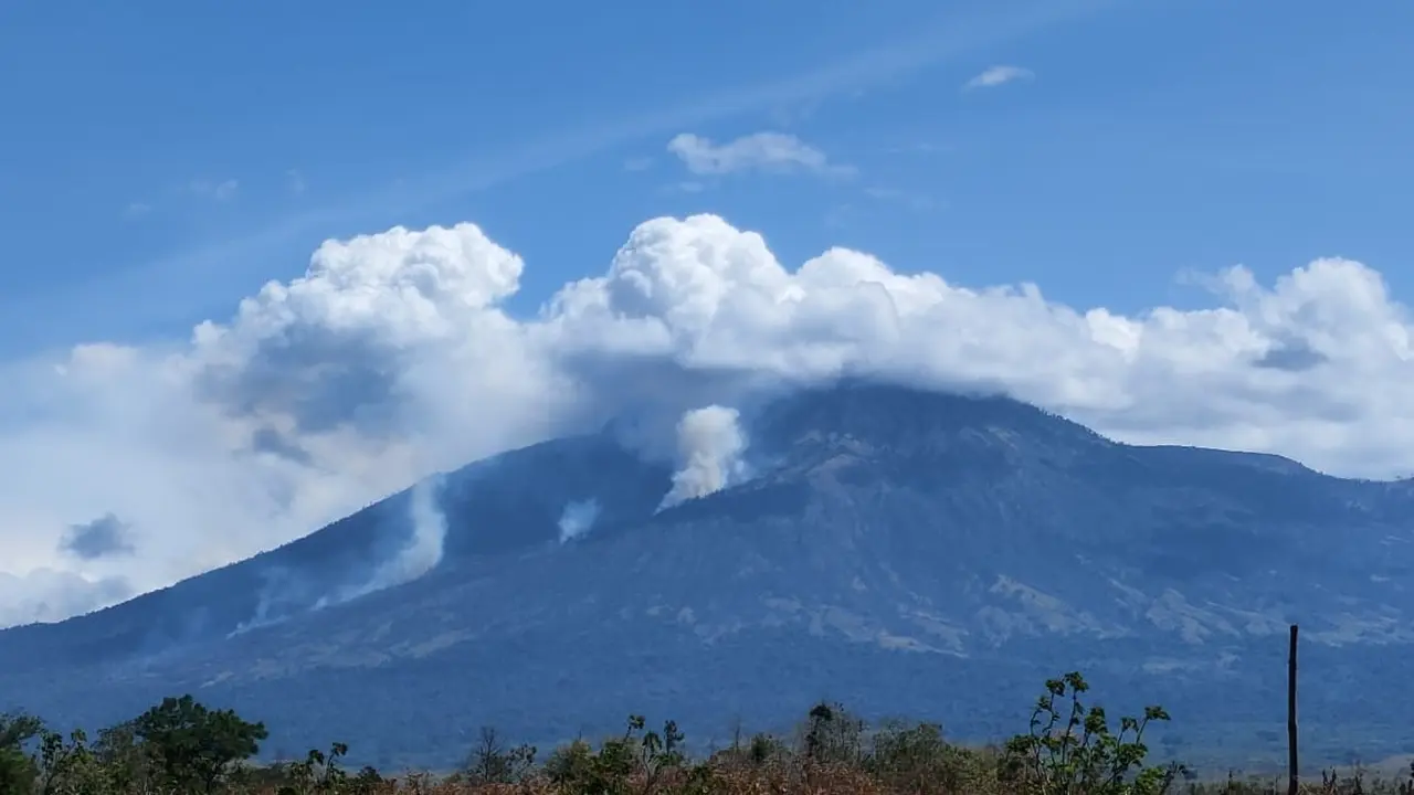 Kebakaran hutan di lereng gunung di kawasan Wongsorejo Banyuwangi (Istimewa)