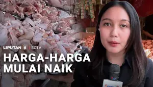 Harga-Harga Mulai Naik Lagi, Pembeli Kurangi Jumlah Belanjaan