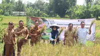 Dorong Ketahanan Pangan, Program Pengembangan Beras Sehat Dilakukan di Karawang