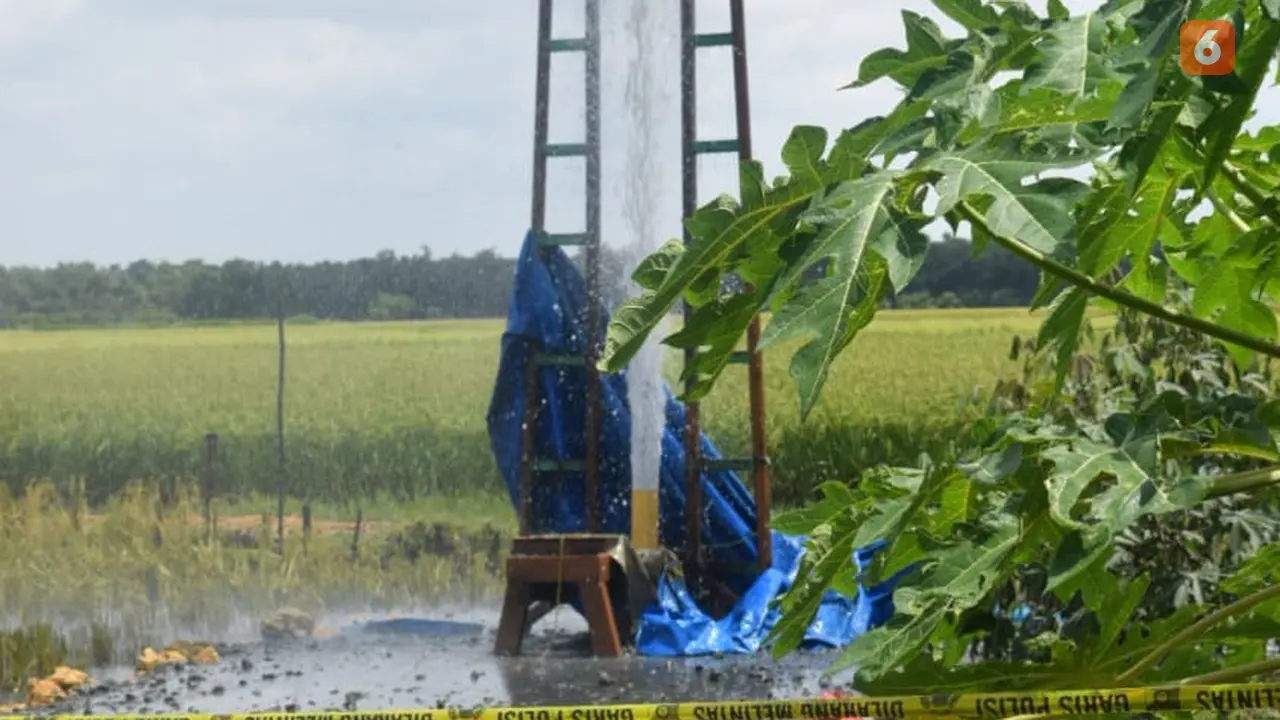 Semburan air, minyak dan gas di area persawahan Grobogan (Felek Wahyu/Liputan6.com)