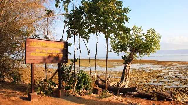 Pantai Plengkung