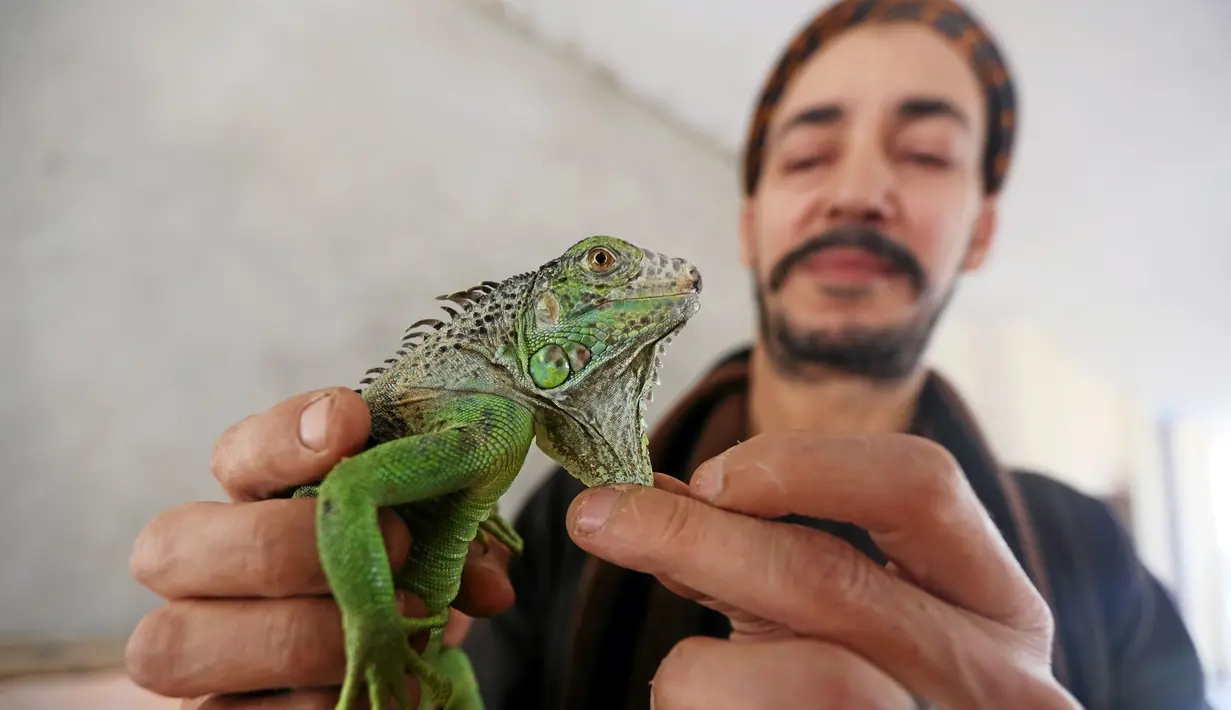 Salah Tolba, penjaga kebun binatang Mesir memegang seekor kadal di kebun binatang, Giza, Mesir, 28 April 2016. Ratusan pengunjung datang setiap bulannya. (REUTERS / Mohamed Abd El Ghany)