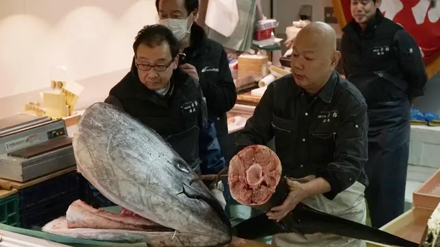 Lelang Ikan Tuna