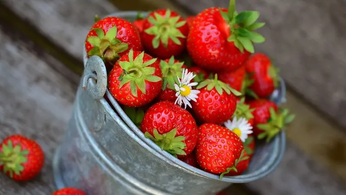 Stroberi