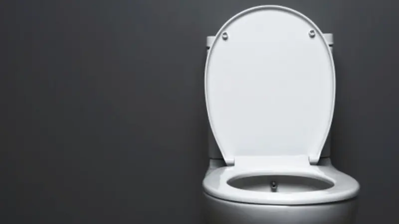 Ilustrasi toilet siram modern. (Unsplash/themacx)