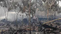 Personel Satgas Karhutla Riau memadamkan kebakaran lahan di kebun karet milik masyarakat. (Liputan6.com/M Syukur)