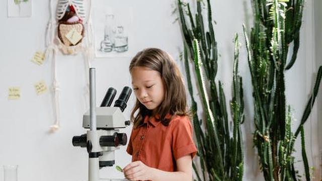 Ilustrasi anak tengah