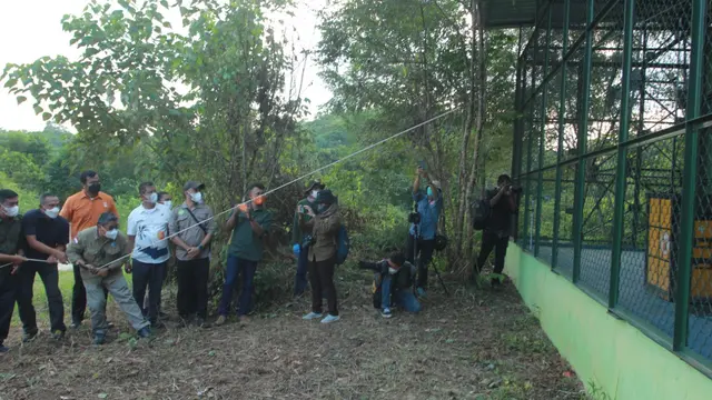 Wamen LHK, Alue Dohong, tinjau pusat penyelamatan satwa