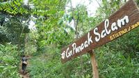Puncak Salam merupakan salah satu gunung yang mengelilingi Kampung Adat Cireundeu. (Liputan6.com/Huyogo Simbolon)