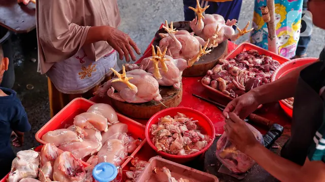 Harga Ayam Potong