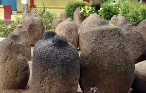 Survei Pohon Durian Berujung Hilangnya Batu Bersejarah Era Medang di Jember