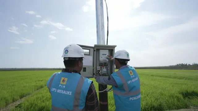 PT PLN (Persero) siap mendukung program ketahanan dan kedaulatan pangan nasional dengan menyuplai listrik untuk lahan percontohan di kawasan Food Estate