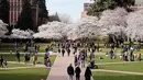 Orang-orang menikmati bunga sakura pada hari pertama musim semi di kampus Universitas Washington, Seattle, Selasa (20/3). Setiap tahun ketika pohon sakura Yoshino di ibu kota AS ini bermekaran, banyak wisatawan yang ikut merayakan. (AP/Elaine Thompson)