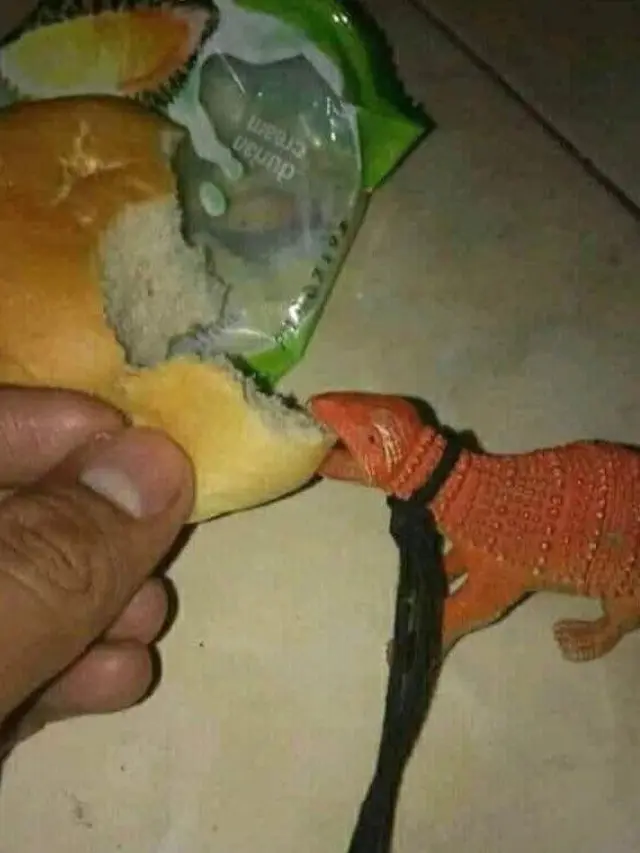 6 Menu Makan Absurd Pakai Mainan Dinosaurus Ini Nyeleneh Pol, Ada-Ada Saja