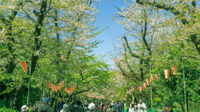Ueno Park