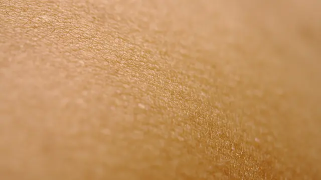 Cara Mengatasi Kulit Berminyak dengan Kandungan Skincare yang Tepat