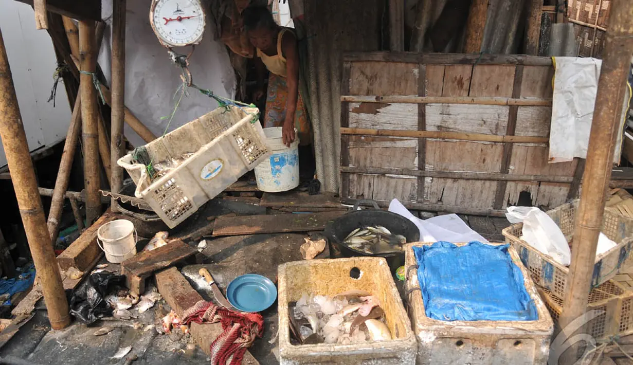Tinggal di tempat kumuh seperti ini membuat warga Kampung Dadap rentan terkena berbagai macam penyakit, , Banten, sabtu (6/9/2014) (Liputan6.com/Johan Tallo)