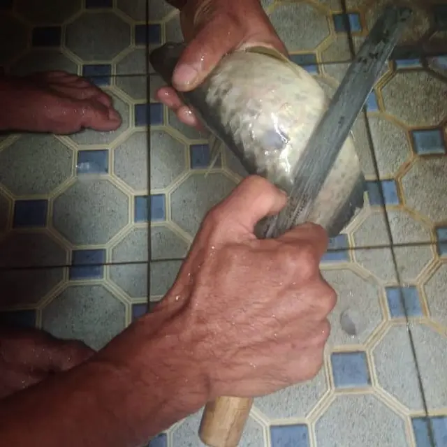 Sedih Sekaligus Bikin Ngakak, Ikan Arwana Peliharaan Pria Ini Digoreng Sang Ayah
