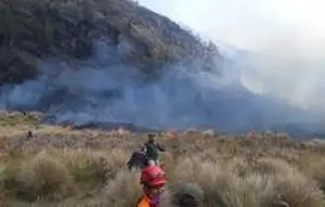 Berjibaku Padamkan Api di Puncak B-29 Bromo