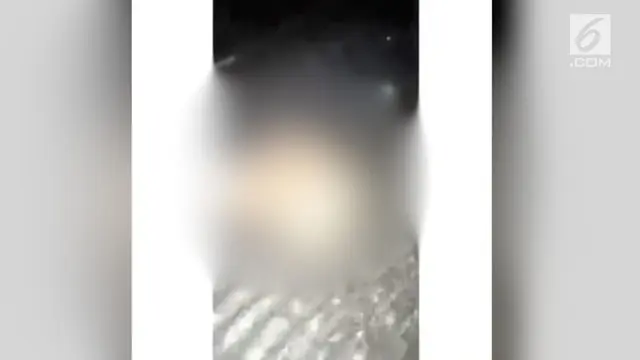 VIDEO: Tega, Kepala Anak Kucing Dipenggal Tetangga Sendiri
