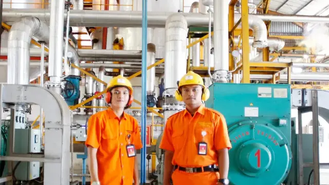 Pekerja Perkebunan Milik PT Nusantara Sawit Sejahtera Tbk. Foto Dok NSS