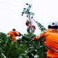Petugas PLN Riau tengah memasang instalasi listrik. (Liputan6.com/Dok PLN Riau/M Syukur)