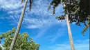 Pakai baju warna biru dipadukan dengan jilbab dan celana warna senada, penampilan Jessica Anastasya saat bulan madu di Lombok beberapa waktu lalu ini simpel tapi stylish. Kenakan kacamata hitam untuk mendukung penampilannya, gaya berpakaian artis yang menikah pada Juni 2022 ini makin menarik. Bersanding mesra dengan suami, pasangan artis ini bikin warganet baper. (Liputan6.com/IG/@jessicaanastasya20)