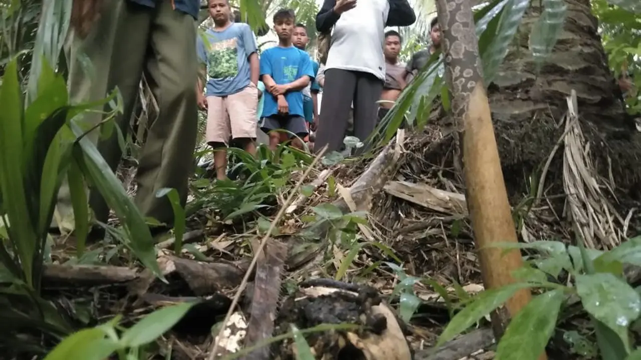 Identitas Jasad Tanpa Kepala Bersabuk Lambang TNI di Deli Serdang Terungkap