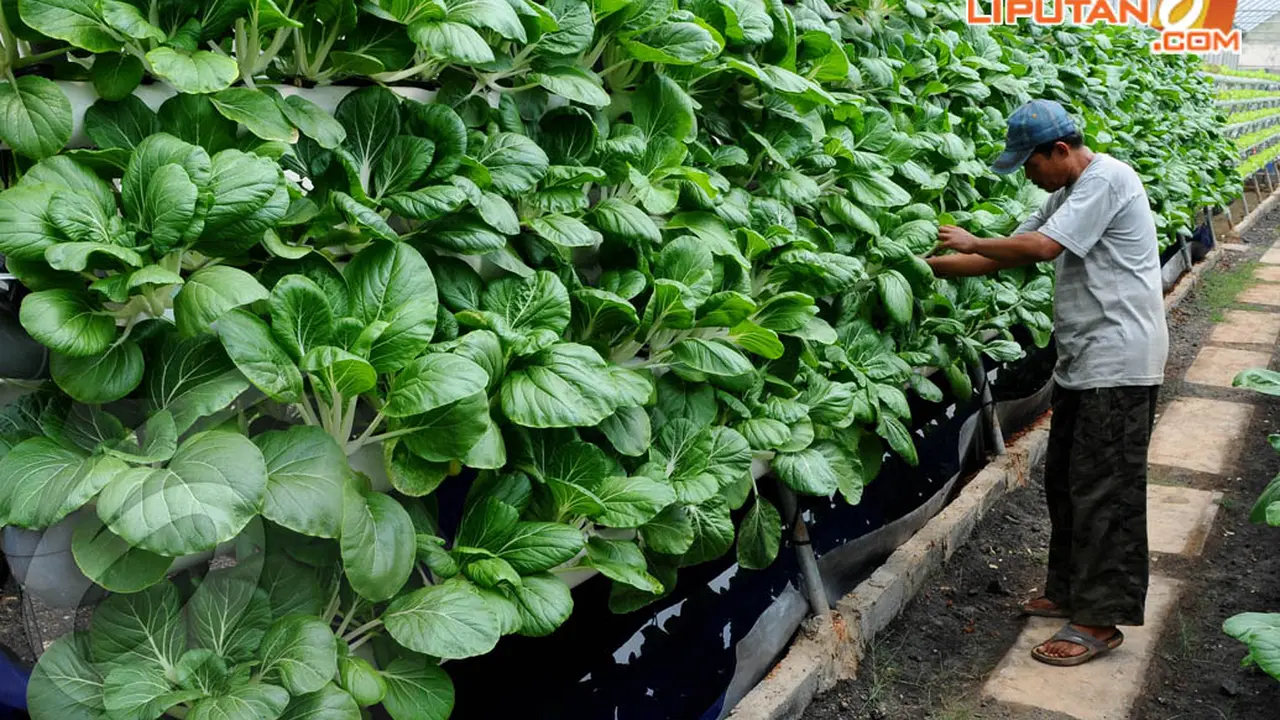 Green House Bikin Rusun Marunda Terlihat Asri