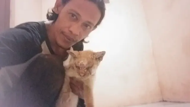 penolong kucing