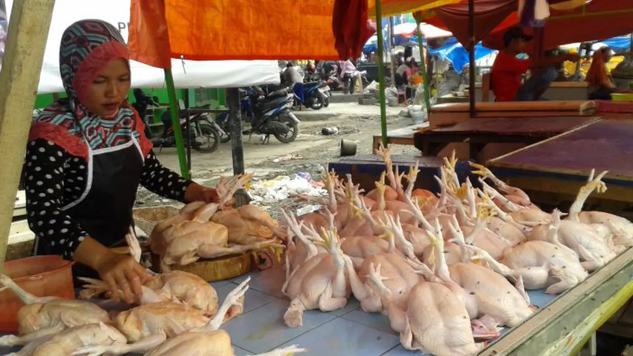 Penjual Ayam di Palu
