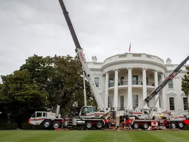 Kendaraan alat berat berada di depan Gedung Putih selama proses renovasi di Washington, 11 Agustus 2017. Menurut General Services Administration Gedung Putih, renovasi ini menelan biaya sekitar Rp 45 miliar. (AP Photo/J. Scott Applewhite)