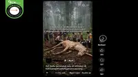 Ragam Hoaks Terkait Kalimantan, Penemuan Kuda Bertanduk Satu hingga Pendaftaran Transmigrasi