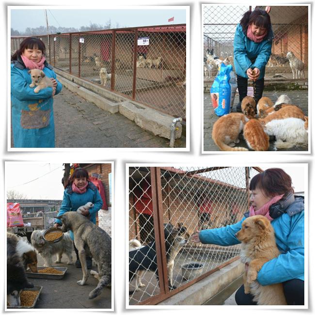 Zhao sangat bahagia ketika ia bisa menyelamatkan anjing dan kucing terlantar di sekitarnya | Photo: Copyright shanghaiist.com