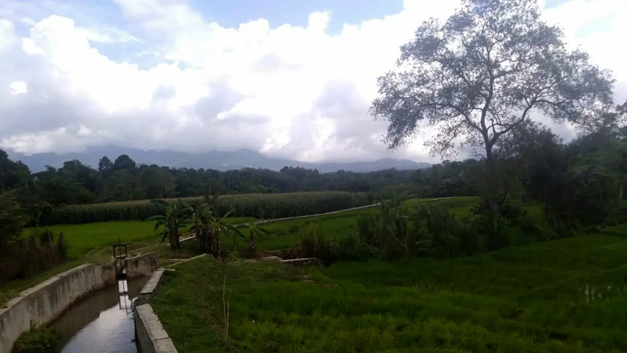 Program RJIT Kementan