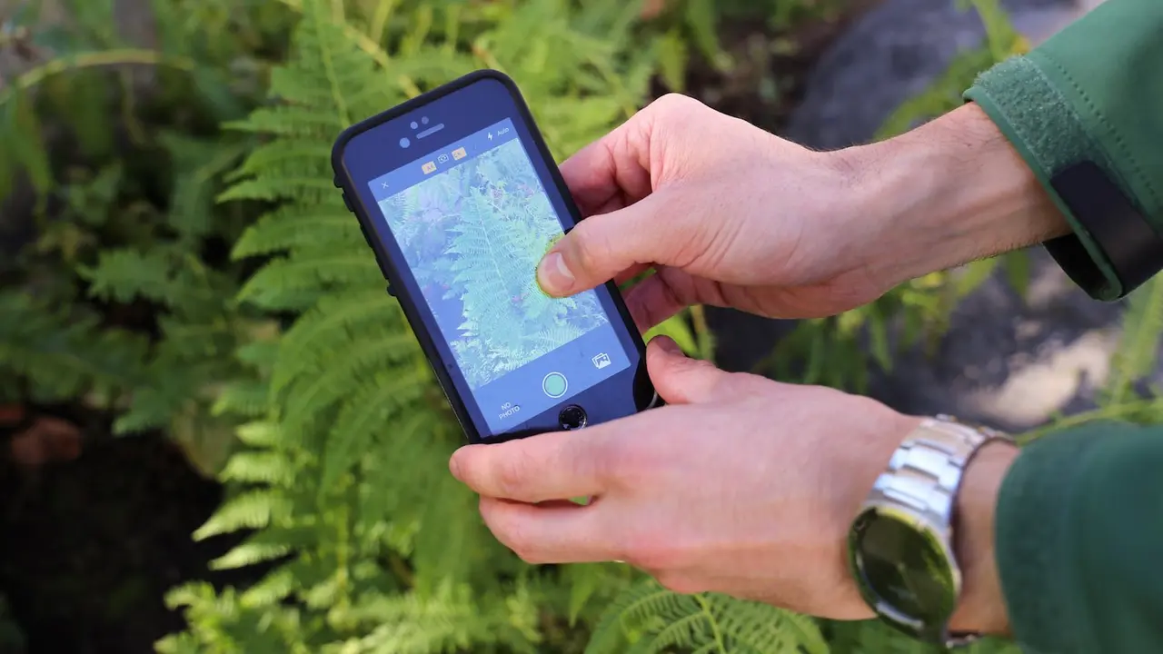 iNaturalist