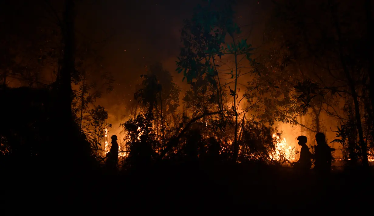 Petugas pemadam kebakaran memadamkan api saat kebakaran hutan dan lahan (karhutla) di Pekanbaru, Riau, Jumat (13/9/2019). BMKG Pekanbaru memperingatkan masyarakat waspada terhadap penurunan kualitas udara dan jarak pandang karena peningkatan polusi. (ADEK BERRY/AFP)