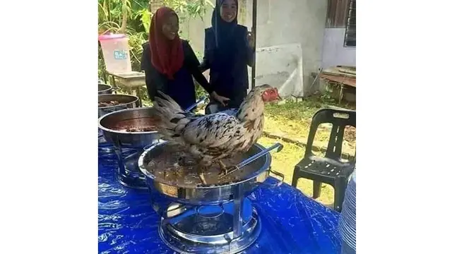 6 Momen Apes saat Pernikahan Ini Bikin Geregetan