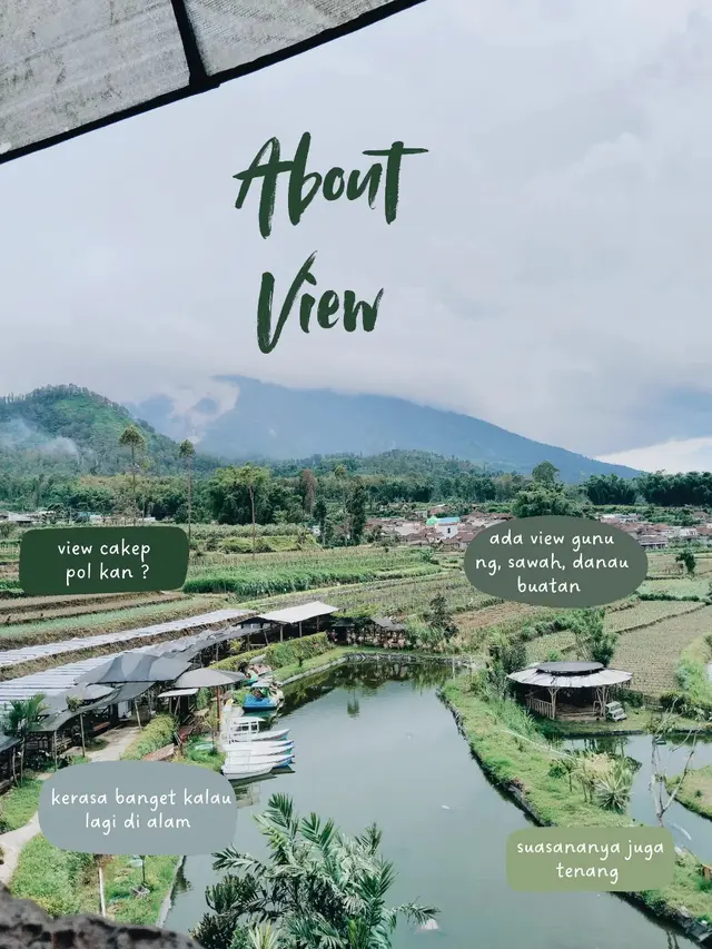 Rekomendasi Tempat Makan Enak di Malang Suasana Alam Terbaru 2025, Cafe Sawah Pujon Kidul.