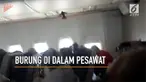 Seekor burung terlihat terbang di dalam pesawat yang sedang dalam perjalanan.