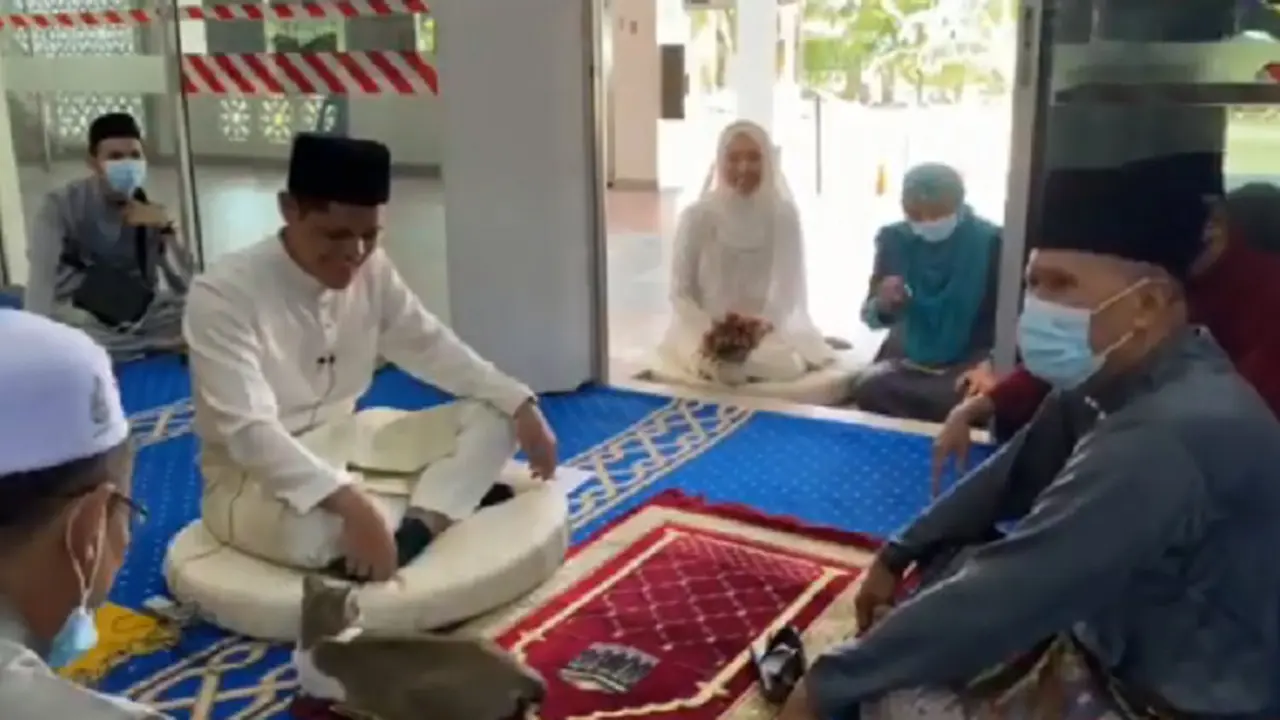 Viral Kucing Ikut Saksikan Akad Nikah, Warganet: Minta Nikah Juga