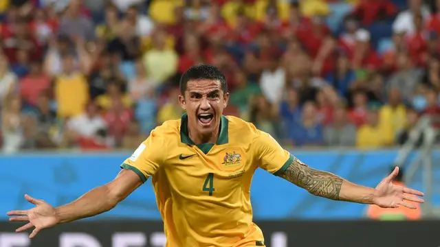 Tim Cahill