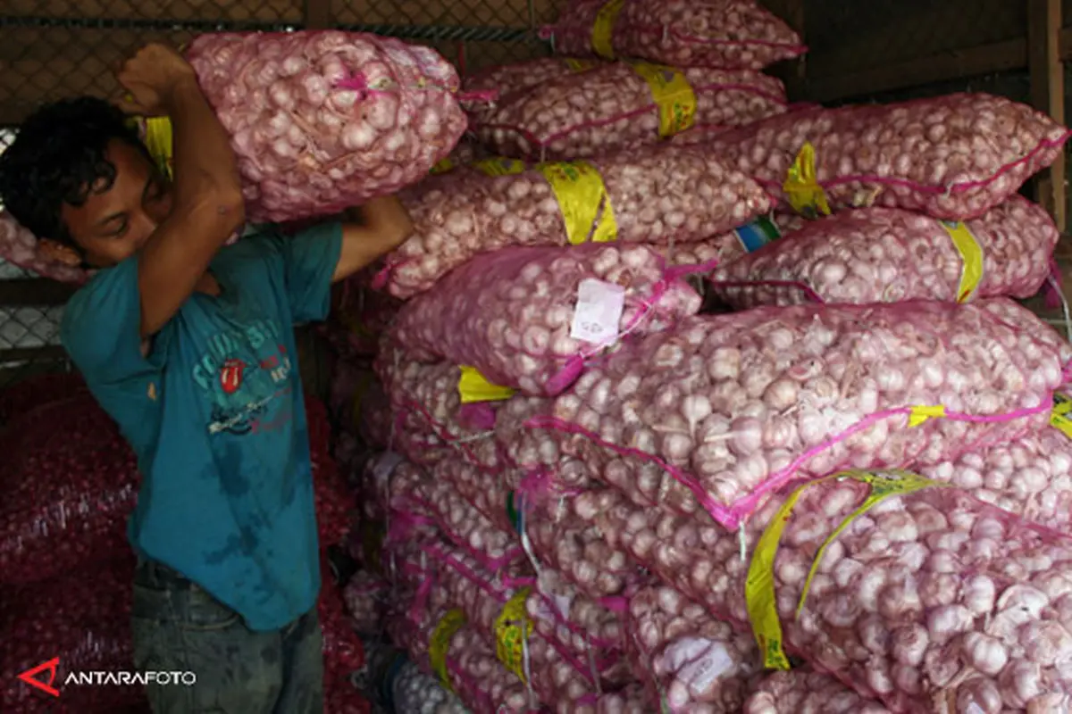 bawang-putih-a30326b.jpg