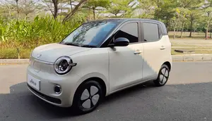 Bukan Gantikan Air ev, Ini Peran Wuling Aira ev