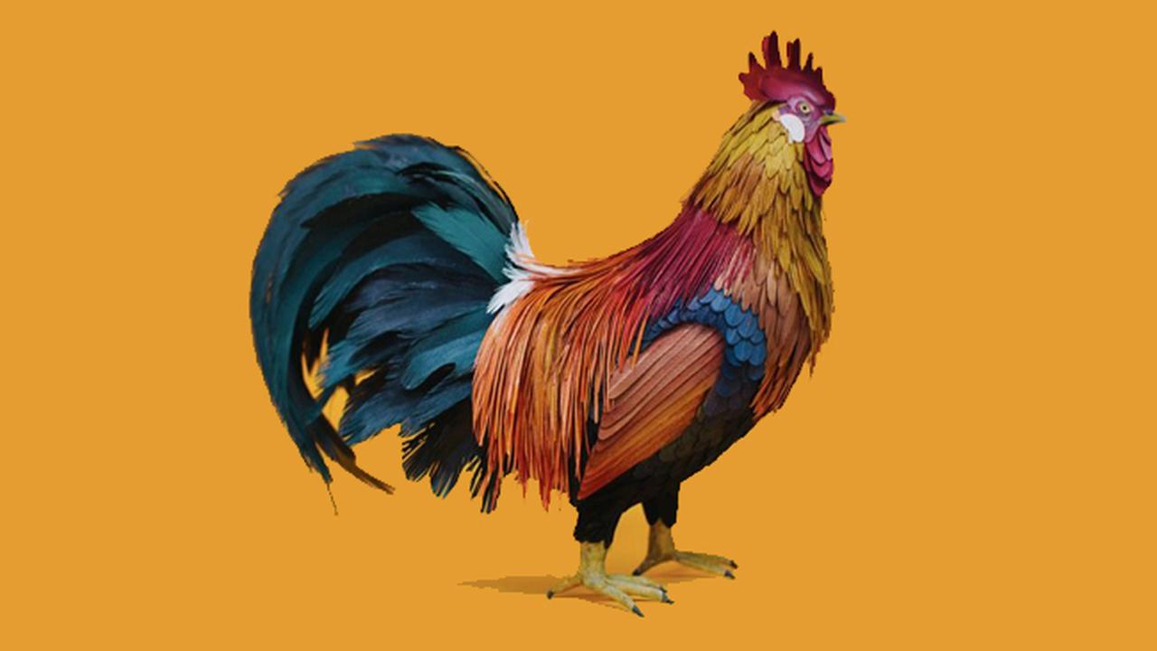 Keren, Kreasi Karya Seni dari Kertas yang Realistis