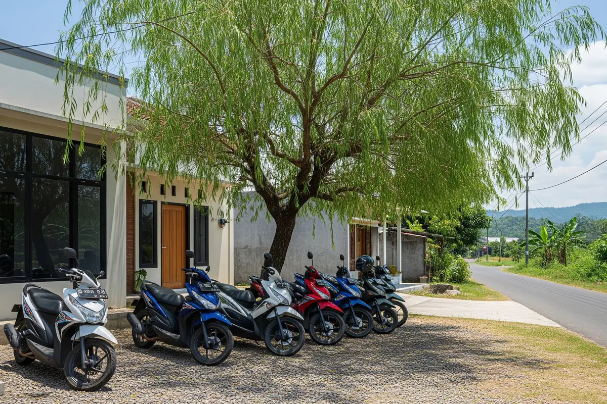 Tanaman Peneduh untuk Parkiran Motor