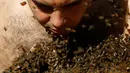 Ratusan lebah mulai mengerumuni sekitar wajah Mohamed Hagras, Mesir (30/11). Hagras terinspirasi Bikini of Bees dari Kanada, yang membuat bentuk bikini dari kerumunan lebah. (Reuters/Amr Abdallah Dalsh)
